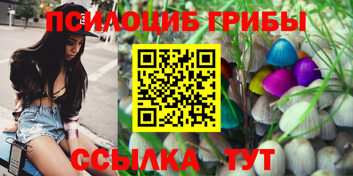 Галлюциногенные грибы MAGIC MUSHROOMS  Вход с VPN  Камышин 