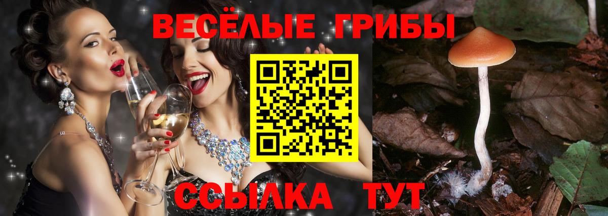 APVP Камышин
